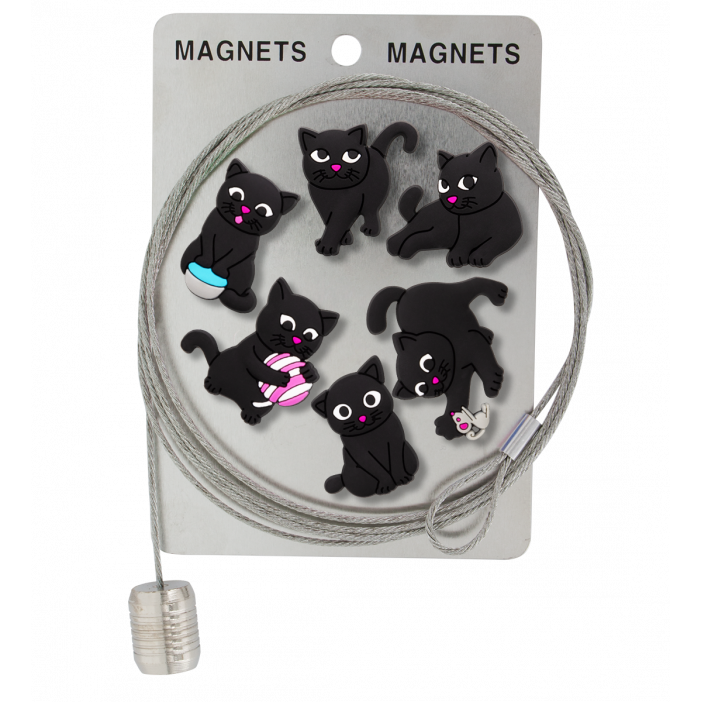 Câble porte photos et magnets - Magnetic Cable Chat