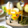 Coquetier design - Cocotte