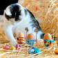Eggcup - Cocotte Heart