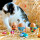 Eggcup - Cocotte