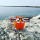 Porte / Repose lunettes - Owl