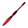  Coccinella