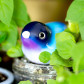 Magnetic bird for paperclips - Piu Piu