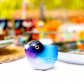 Magnetic bird for paperclips - Piu Piu Nightingale