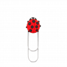  Coccinelle