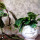 Grand Bol / Saladier en porcelaine - Emotion
