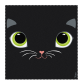 Tessuto in microfibra per occhiali - Belle Vue Blue Owl
