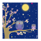  Blue Owl