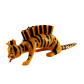 Zebre Orange