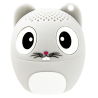  Topo