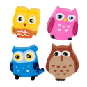 Set de 4 gommes - Owleraser
