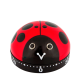  Coccinelle