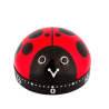  Coccinelle