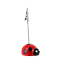  Ladybird
