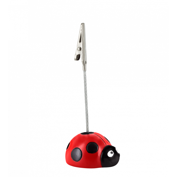 Photo frame - Zoome clip Ladybird