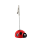 Porte-photo - Zoome clip