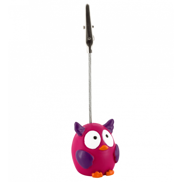 Photo frame - Zoome clip Owl