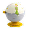  Il Piccolo Principe