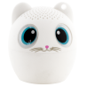  Weiße Katze