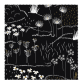  Black Board