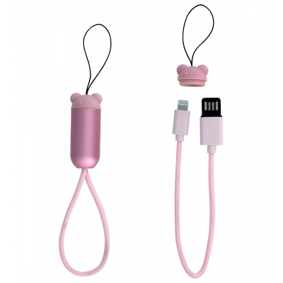 Câble pour iPhone - Mini Connectech