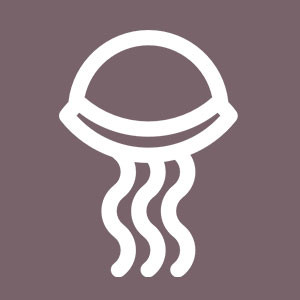 Jelly Fish