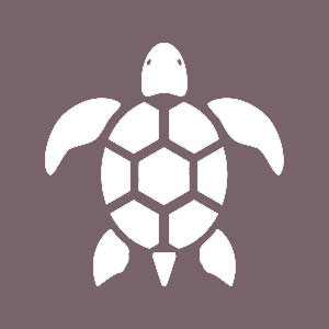 Tortue
