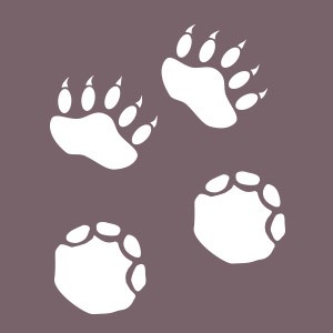 Animaux