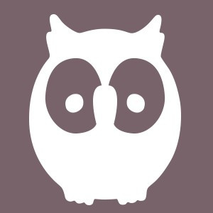 Owl 2