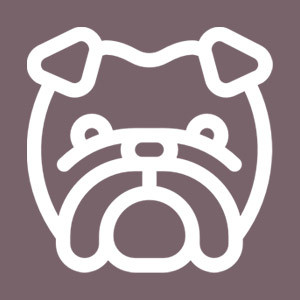 Bulldog