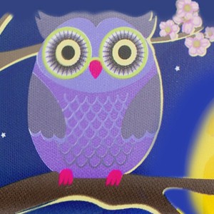 Blue Owl