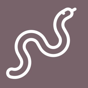 Serpente