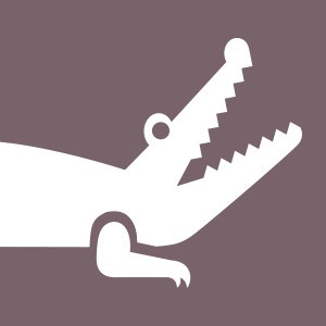 Crocodile