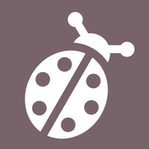 Coccinelle
