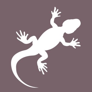 Lézard