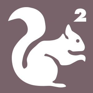 Ecureuil 2