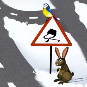 Rabbit Snow