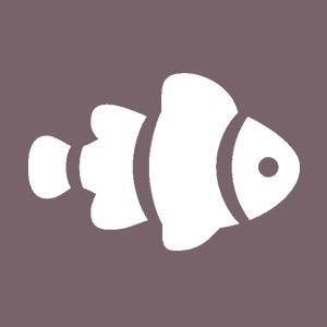 Clown Fish