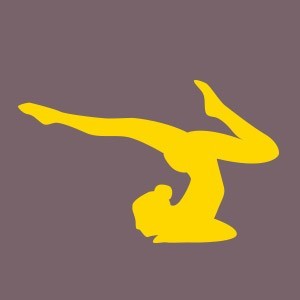 Heroes Yogi