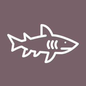 Requin