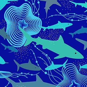 Shark
