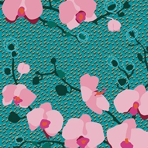 Orchid Blue
