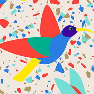Colibris