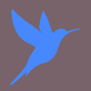 Colibris Bleu
