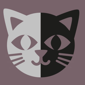 Chat noir et gris