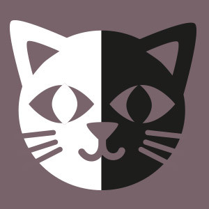 Chat noir et blanc