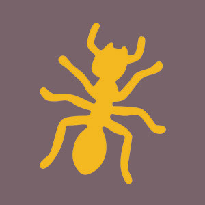 Insecte Or