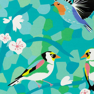 Birds