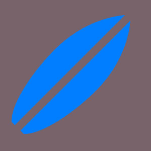 Surfeur Bleu
