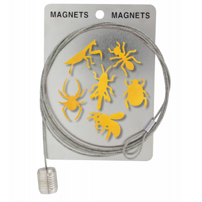 Câble porte photos et magnets - Magnetic Cable Insecte Or